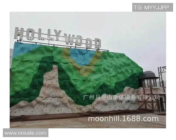 杭州攀岩队心理素质分析与提升策略研究报告